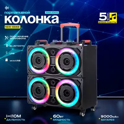 Колонка NDR-8888